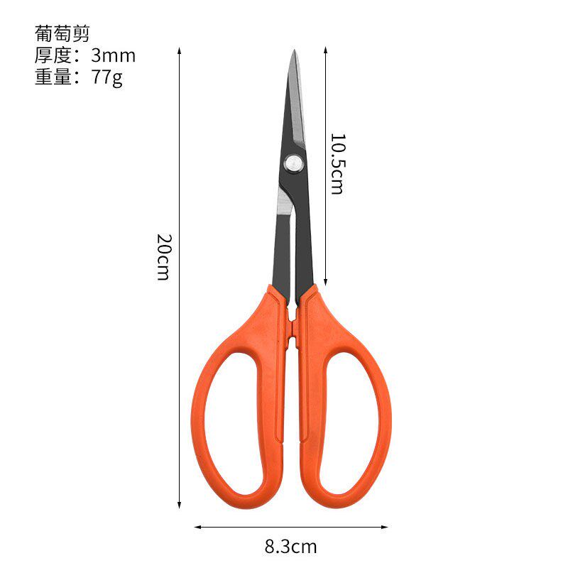 速发葡萄采果剪柑橘剪桔子蔬果剪修枝摘果剪果园果树剪采摘翘头剪