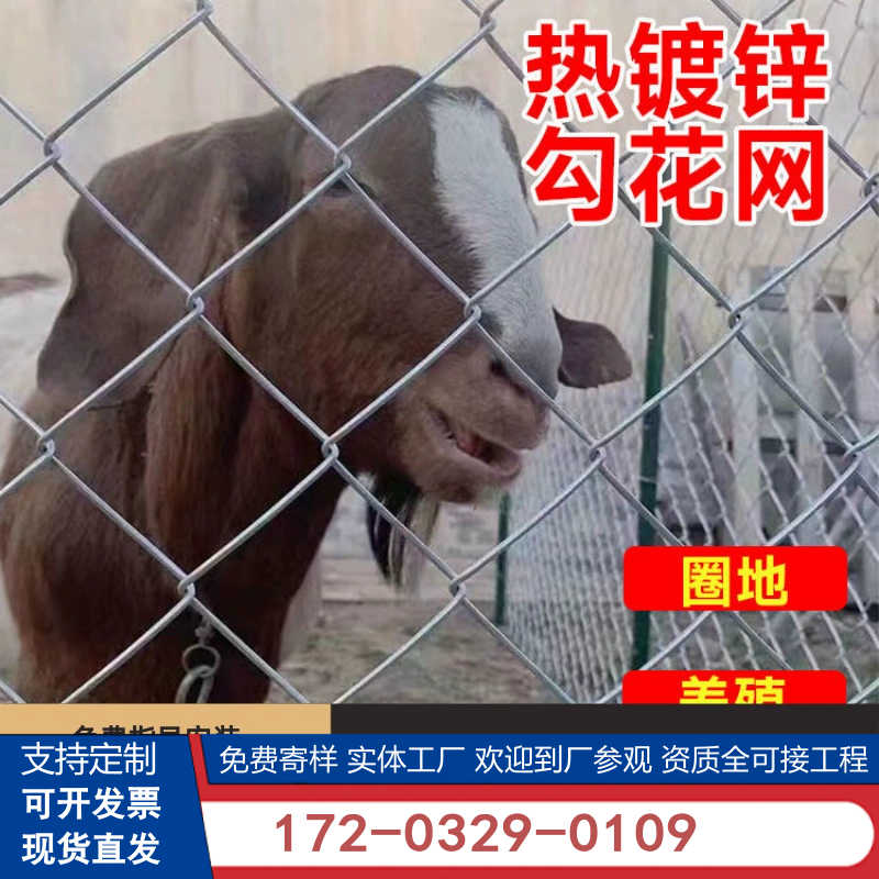 热镀锌勾花网铁丝网养鸡网养殖网