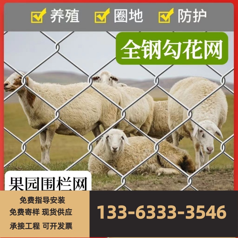 热镀锌钢丝勾花网铁丝网围栏