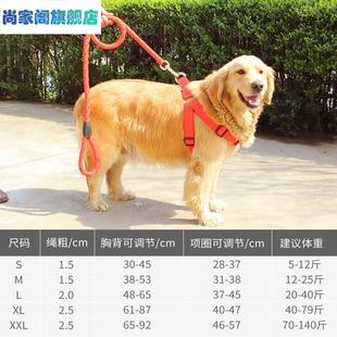极速喜乐蒂牧羊犬杰克o罗素梗狗链子狗狗牵引绳项圈遛狗绳子宠物