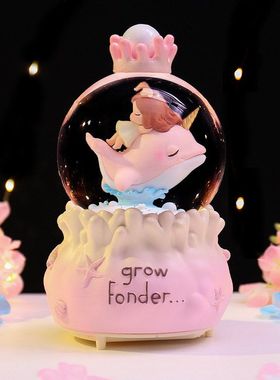 大海海豚八音盒梦幻水晶球水球