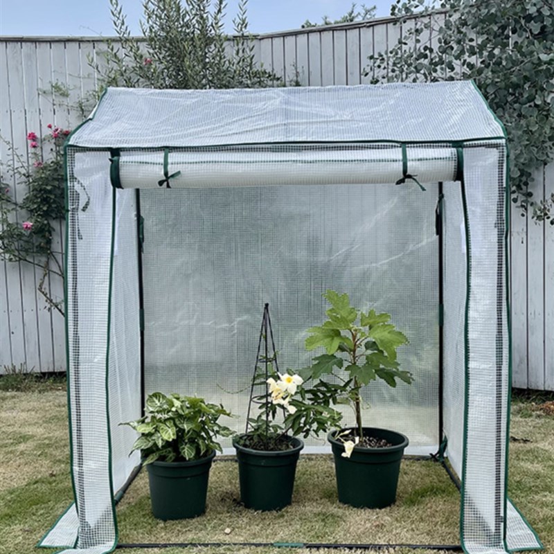 速发光房植物温室全透明花房光棚冬季保温雨棚庭院遮棚台帐篷