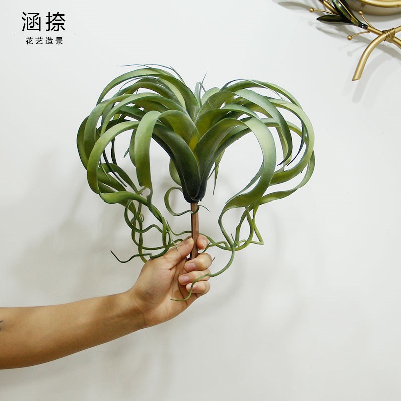 速发植物造饰装景配料空气草老人须小植物凤梨家居样板庆婚间装饰