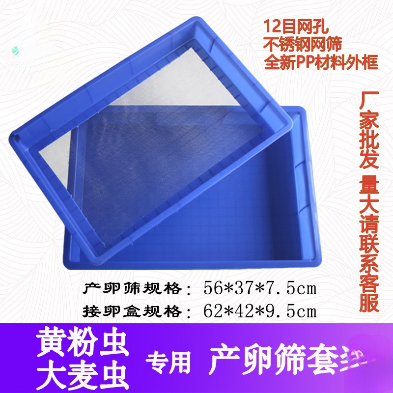 速发黄粉虫包卵箱网养殖盒大麦虫繁殖设备筛面产虫不锈钢虫卵分离