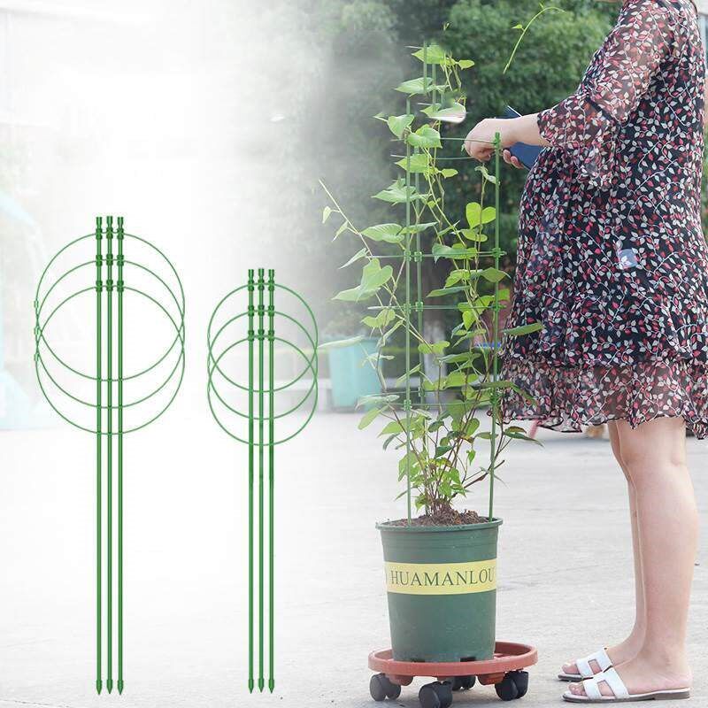 速发园艺花叶花枝花支架 爬藤架牵引托架兰花绿萝花草支撑杆花园
