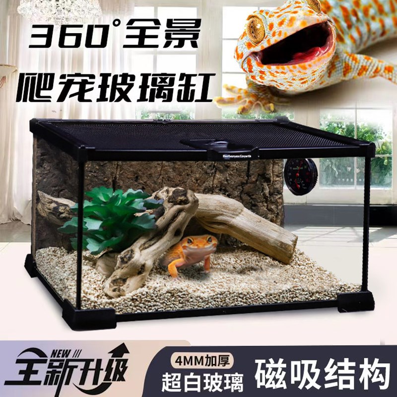 速发BG鬓狮蜥蜴饲豹箱雨林造景养态玻璃饲生缸爬宠养纹瘤尾守宫饲