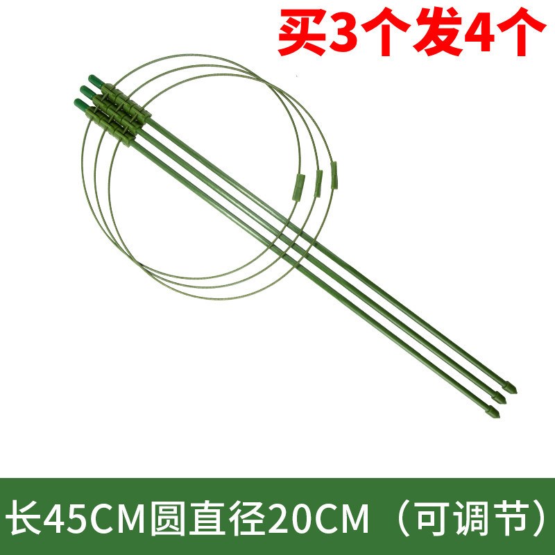 速发爬藤架爬藤花支园艺架柱架台铁线莲藤本植物攀爬蟹爪兰支撑杆