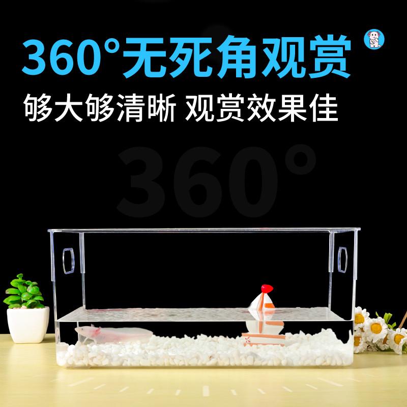 包邮六角恐龙鱼专用缸养蝾螈的饲养鱼缸宠物小型观赏鱼生态造景箱