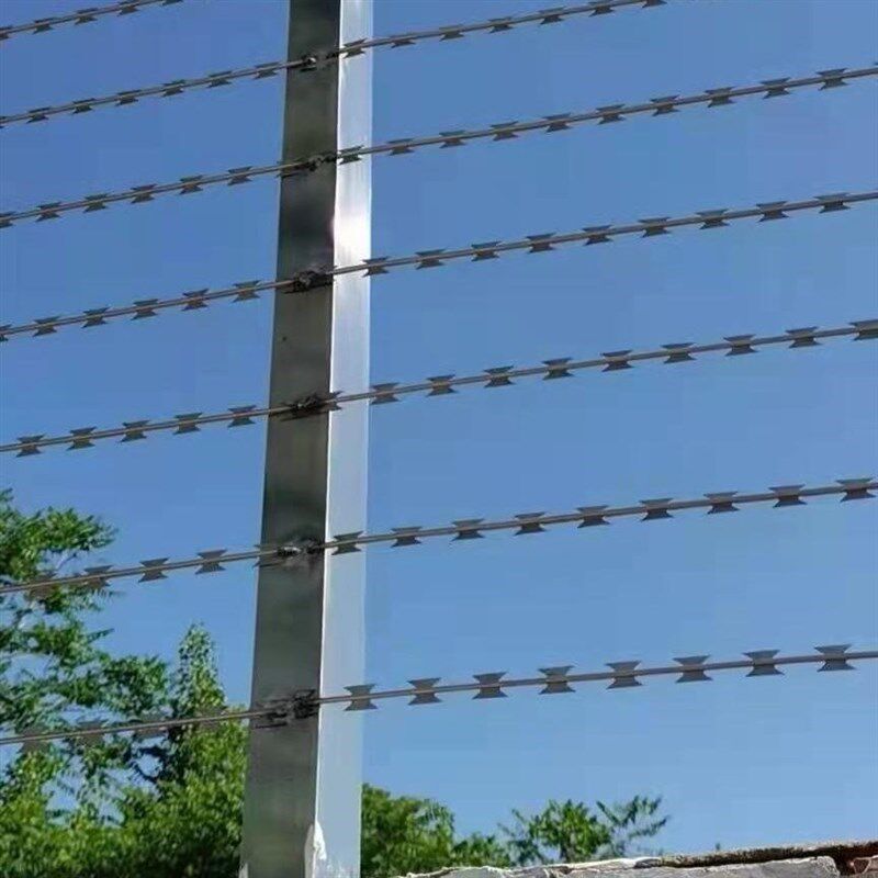 热销优质直条防爬刺围墙r防盗网钢丝刺绳带刺防爬带刺围栏不锈钢
