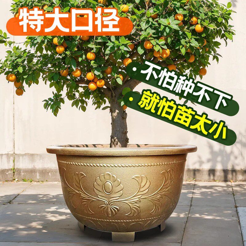 热销养睡莲荷花专k用盆特大号盆缸莲藕铜钱草水培碗莲无孔种植仿