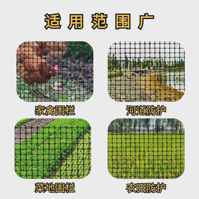 热销塑料网格土工格栅圈r玉米网养鸡围网大棚兜水网栅栏小孔养殖