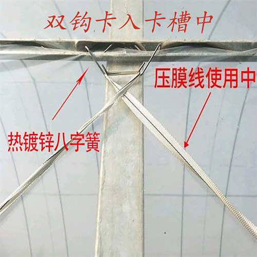 热销大棚配件引线簧 双q钩 遮阳压膜绳扣件 热浸镀锌加粗双钩八字