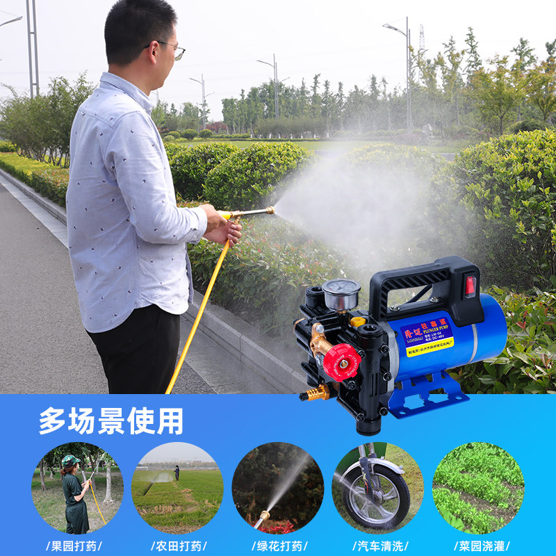 热销农用12v高压水泵洗车水泵自吸泵高压打N药机双缸柱塞打果园水