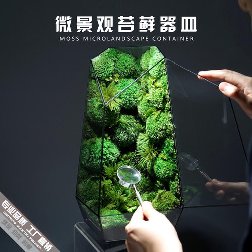 热销北欧创意桌j面雨林苔藓微景观玻璃花房青苔造景绿植透明花盆