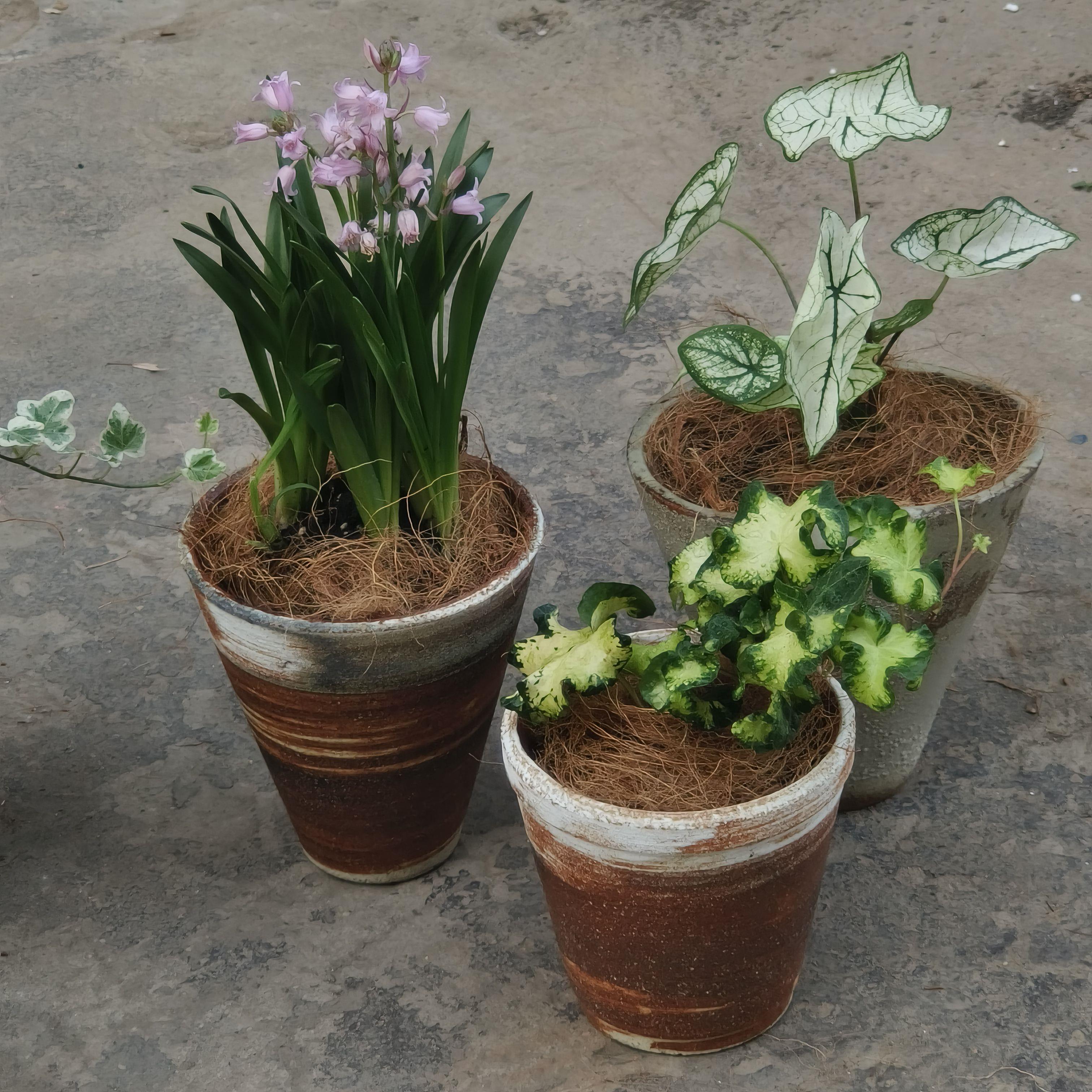 景德镇粗陶匣钵麦饭石多肉花盆小花盆复古透气陶盆陶土花器手工盆