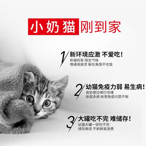 热销皇家幼年期全价猫粮奶糕罐A主食级幼猫湿粮1-4月慕斯罐头