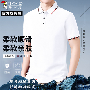 休闲短袖 2025夏季 啄木鸟男士 POLO衫 百搭纯色翻领透气T恤Q 薄款 时尚