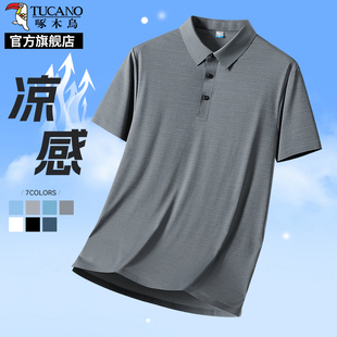 Polo衫 啄木鸟夏季 T恤男士 新款 中年爸爸上衣商务休闲体恤K 冰丝短袖
