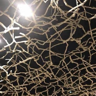 枯枝枯木树干干 干树枝原木杈艺术干 干燥树枝鸟架造型壁挂衣架悬