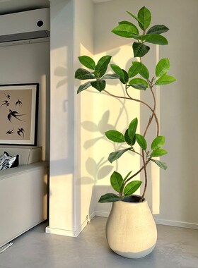 孟加拉榕彷真绿色植物高端轻奢室内客厅高级中古风装饰W彷生植物