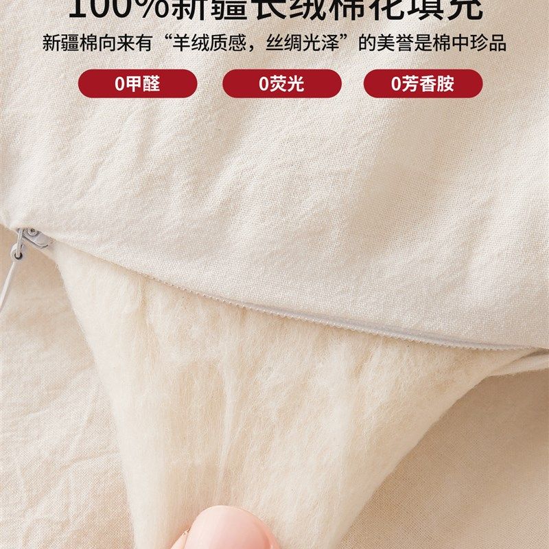 红豆棉花被子被芯2025新款四季通用A类棉絮家用宿舍单双人春秋被,床上用品,棉花被,淘宝优惠券,粉丝福利购,淘宝优惠卷