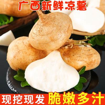 凉薯新鲜白心地瓜萝卜水果沙葛土番薯现挖农家特产9斤即食大果10