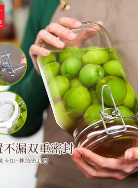原装进口玻璃密封罐防霉储存罐杨梅酒罐3升欧式风格泡酒瓶Fido密