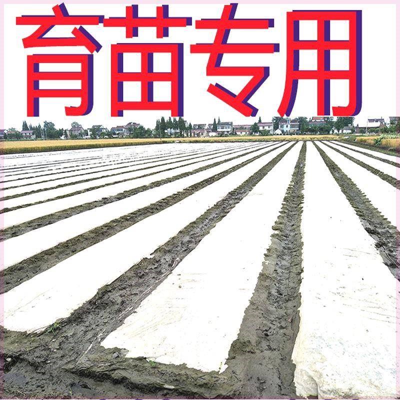 速发水稻育苗无纺布整卷建筑渗水透气保P全新P湿料草坪覆化绿盖育