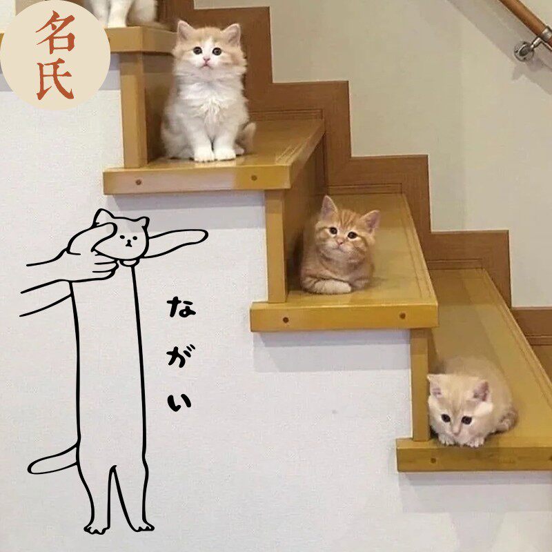 速发爱可被猫起猫咪墙纸玻璃门贴设计猫咖撸抱店装饰日文