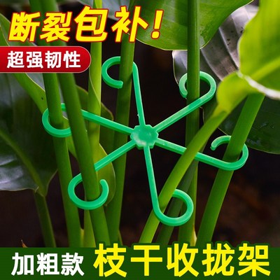 速发植物防定伏支架龟背竹支撑杆春羽绿花物固定器植卉水培收拢固