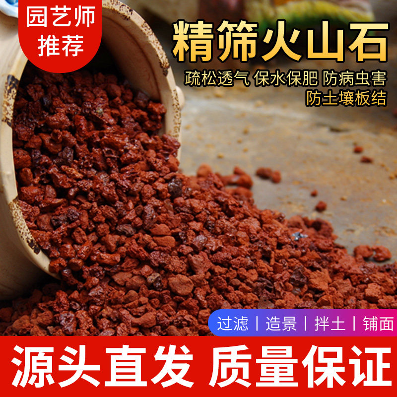 速发火山岩颗粒底肉铺面石鱼缸水族箱过滤兰花种植土红色垫多材料
