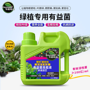 极速植物c有益菌高能液催芽生根营养液通用型家用养花种花肥料
