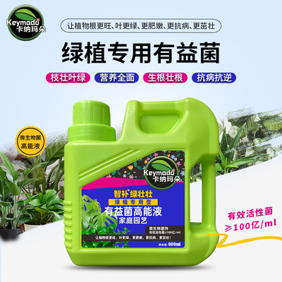 极速植物c有益菌高能液催芽生根营养液通用型家用养花种花肥料