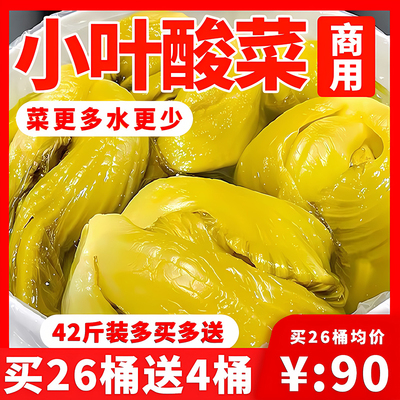 小叶酸菜颜色金黄脆嫩酸爽无筋
