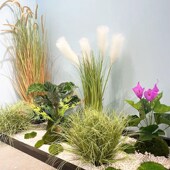 新品 饰造景盆 仿真蒲草假苔藓假草坪草皮植物墙F造景微景观绿植装