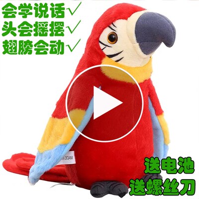 极速26cm Speak Talking Record CuteE Parrot Repeats Waving Wi