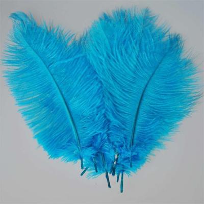 极速Boutique 10pcsn Home Decor Blue Ostrich Feathers 9.45 -1