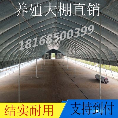 极速蔬菜温室养殖椭圆管大棚x骨架钢管简易连体棚养猪养鸡大棚支