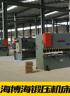 上海博海机床厂D67Y系列 3吨250优0选材质6精品 WD67Y液压W折弯机