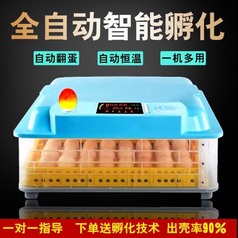 速发小鸟蛋智化器小型蛋温种恒孵能鸡蛋孵蛋器乌龟家用智能双电设