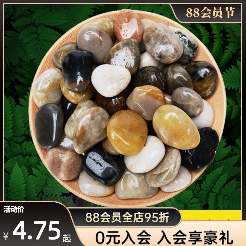 速发鱼雨装饰造景头石鱼缸底砂底沙缸花石摆件鹅卵石五彩色铺面小
