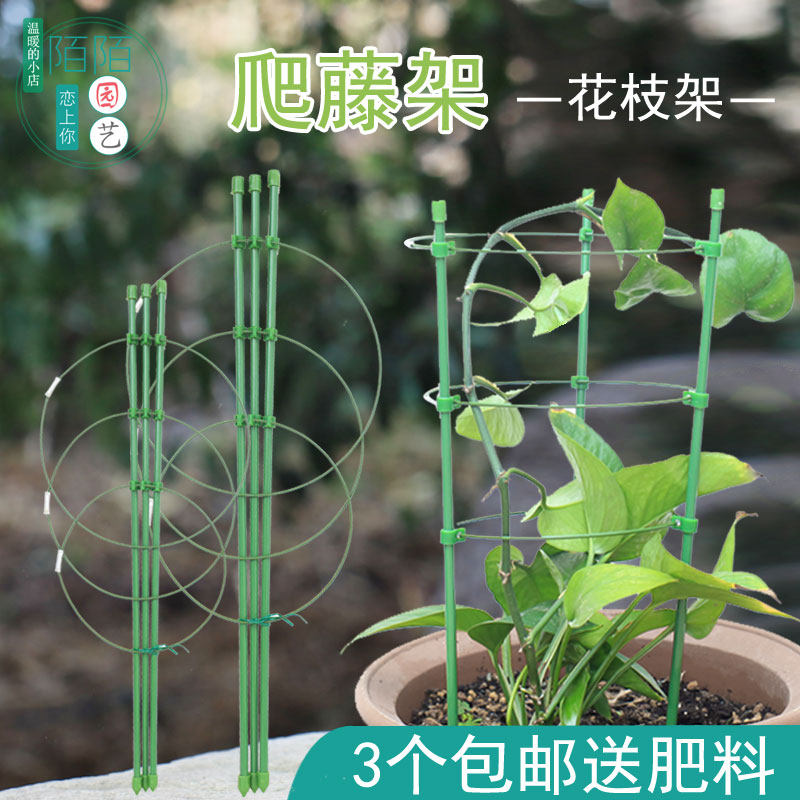 速发陌陌园艺月季爬藤撑子花铁架线莲架绿萝支架杆室内台攀爬架包