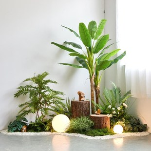 速发植物造内组合室景绿植造景楼型植物采光井装饰球梯角落造景