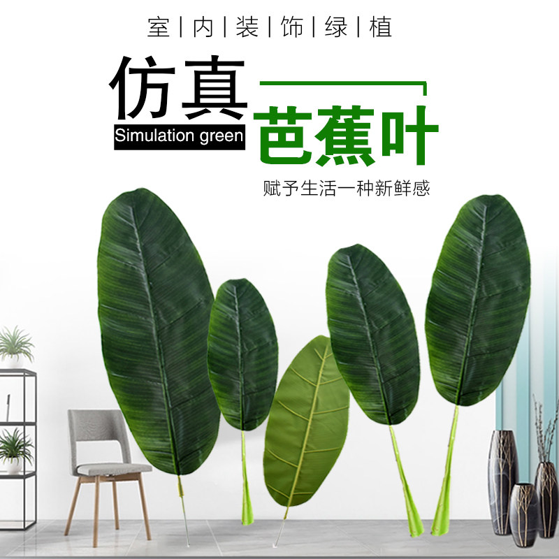 速发芭蕉叶绿树叶滴水观绿叶叶内装饰大型音植假香蕉室跳舞龟背芋