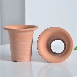 速发风兰花盆透气兰陶盆富贵兰栀子附香花生兰矮种红花洋兰小盆景