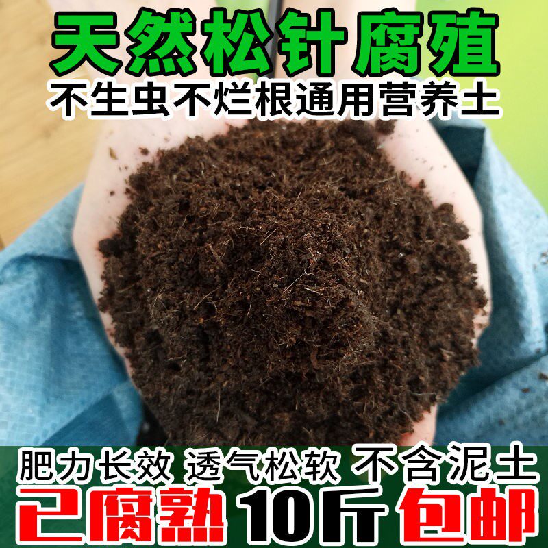 速发腐熟松针腐殖土腐叶土多肉菜萝营养土种绿通用黑土种花土壤泥