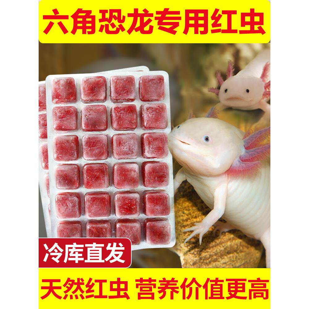速发六森BE六六恐龙鱼饲料冰冻红虫角角龙鱼蝾螈贝六下沉底栖鱼粮