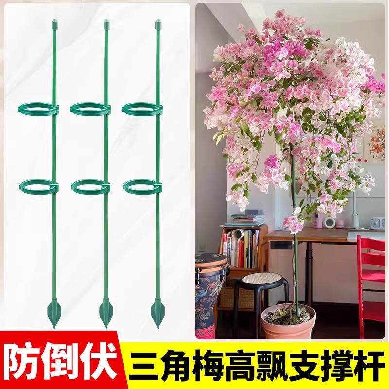 速发三角梅高飘支撑杆护花支架龟背竹西红柿植物爬藤架杆防倒伏固