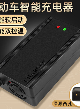 速发绿源电动车孔瓶42V12AH60V20AH78V80V84V6V2T两电接口