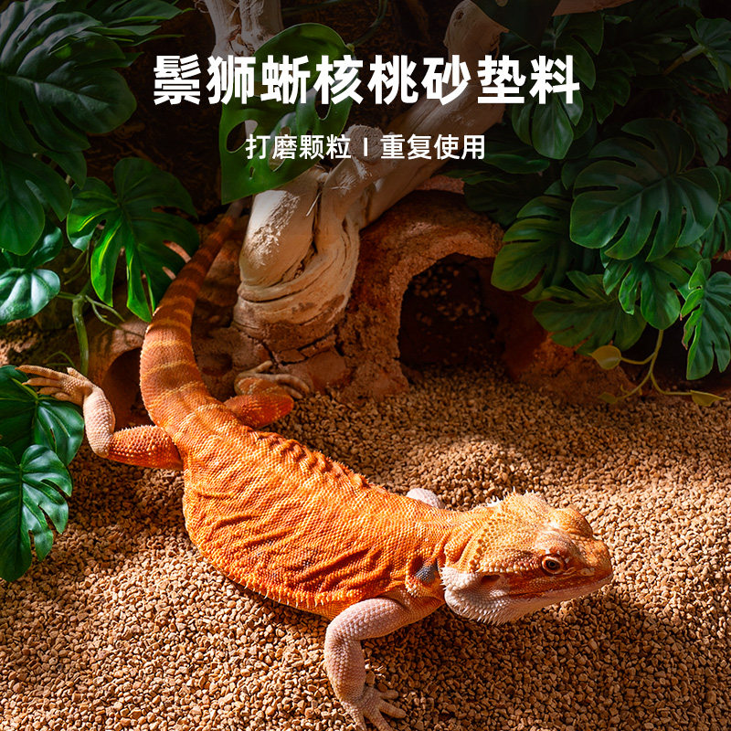 速发超宠核桃砂垫除守宫鬃狮蜥蜴饲养箱造景料味干燥打磨垫材爬爬
